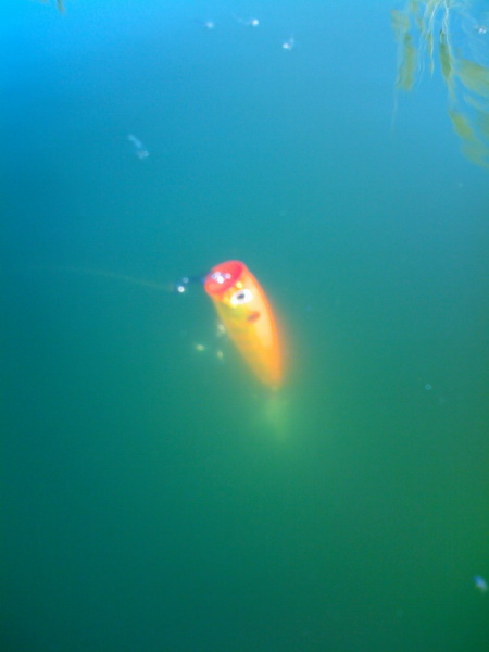 IMG013.jpg