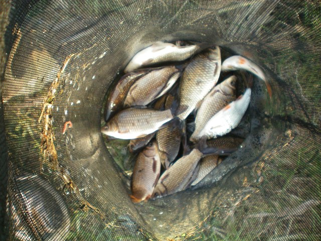 img12.jpg