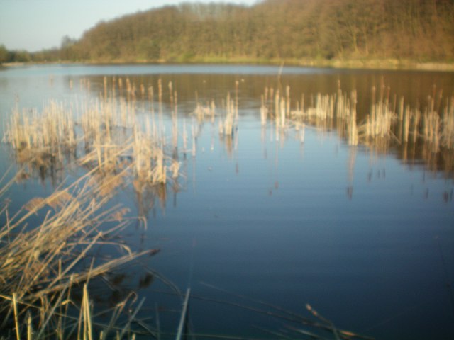 img13.jpg