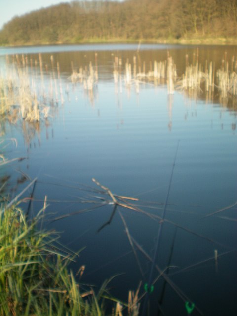 img15.jpg