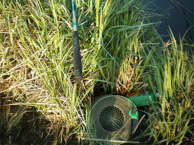 img17.jpg