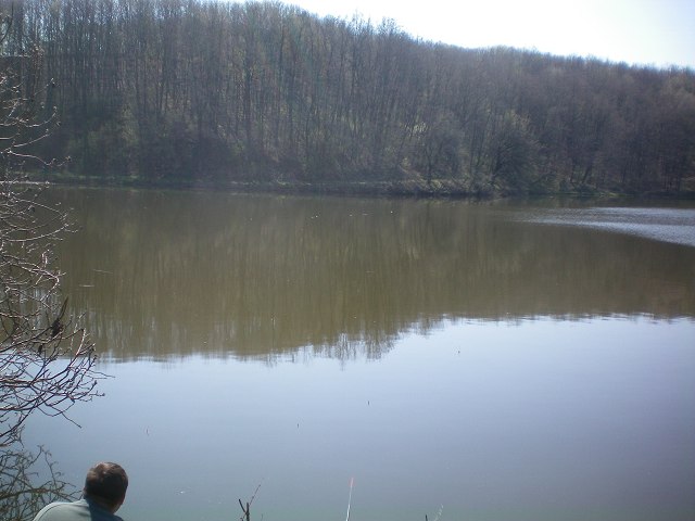 img3.jpg