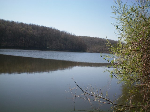 img4.jpg
