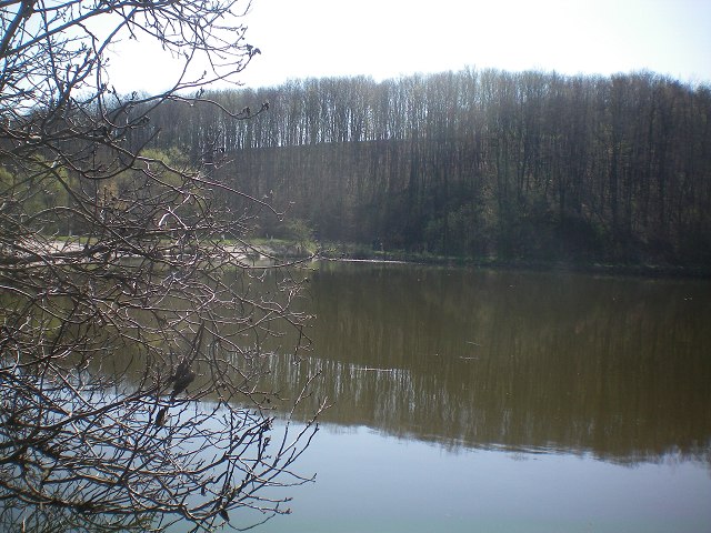 img5.jpg