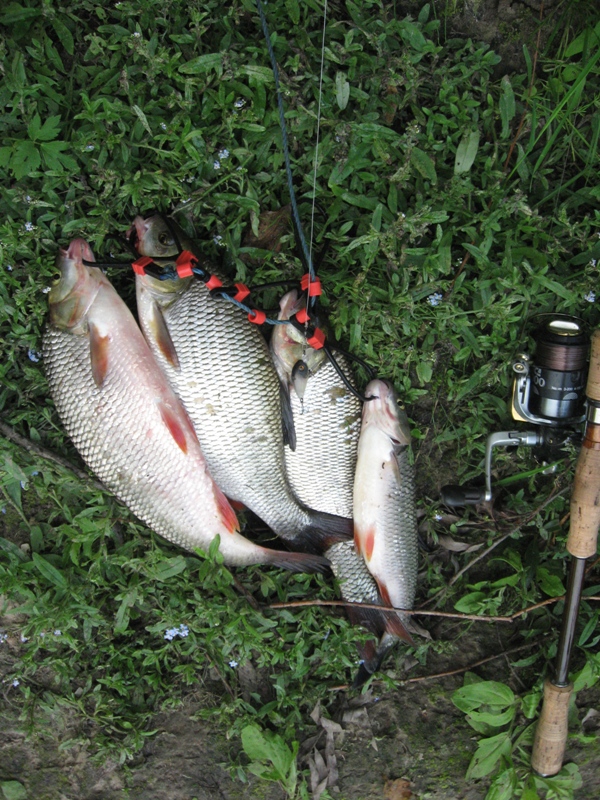IMG_0001.JPG