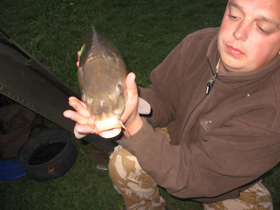 IMG_0059_thumb.jpg