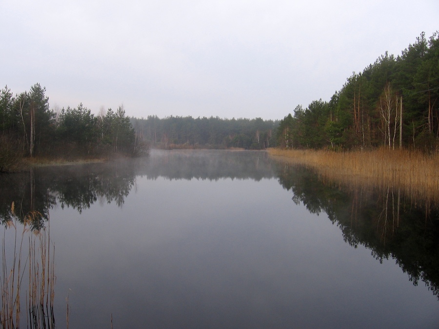IMG_0066.JPG