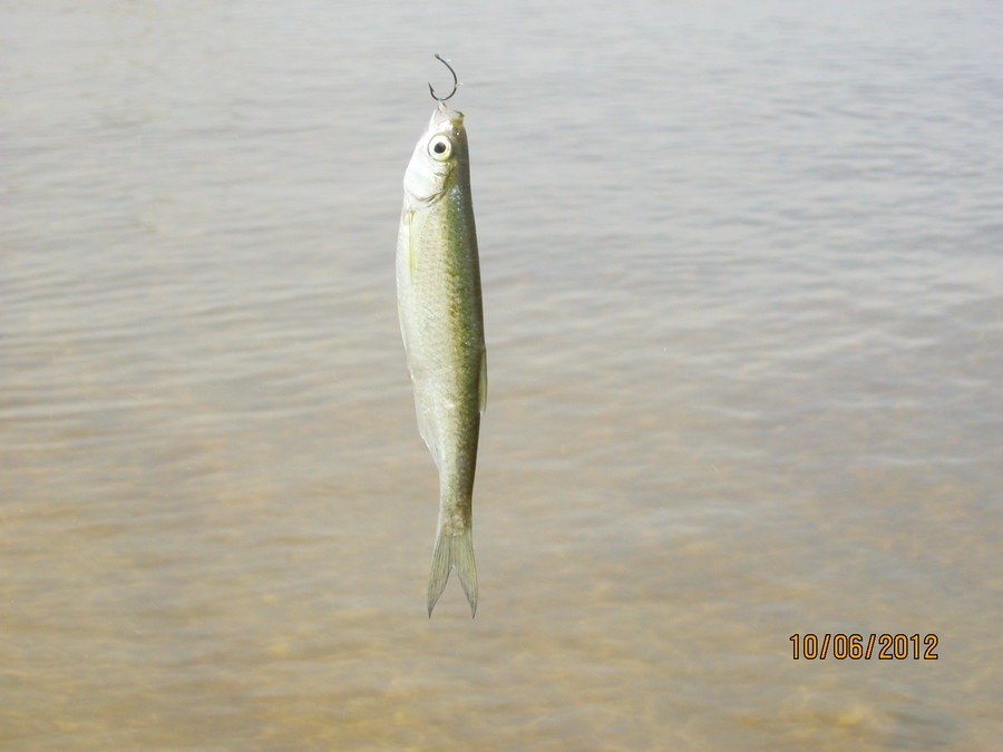 IMG_0126.JPG