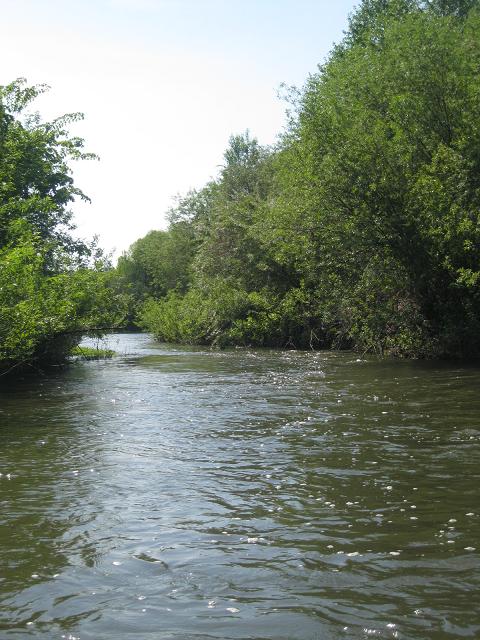 IMG_0347.JPG