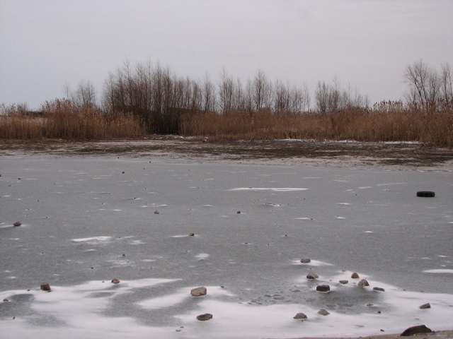 IMG_1228.JPG
