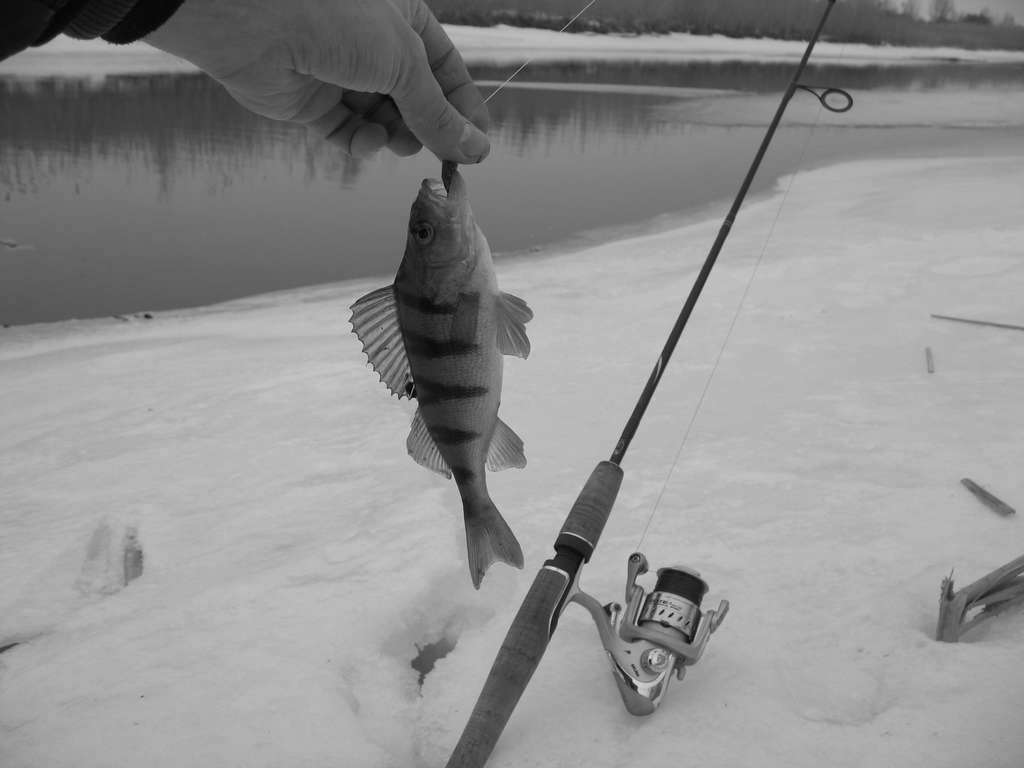 IMG_1310_thumb.jpg
