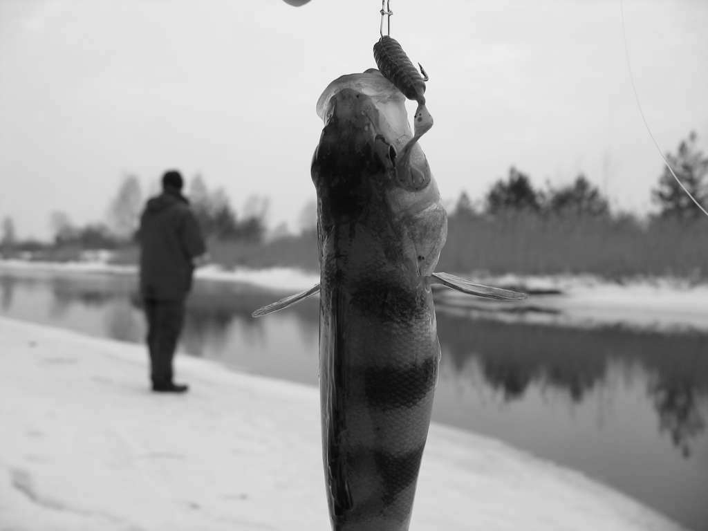 IMG_1329_thumb.jpg