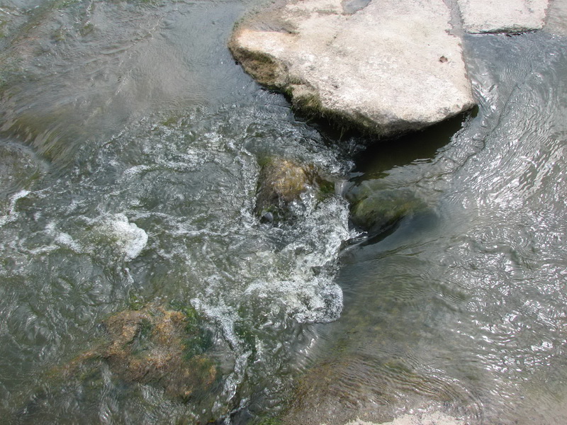 IMG_1549.jpg