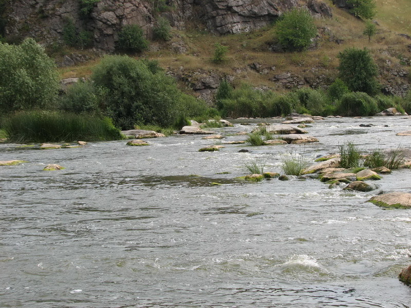 IMG_1550.jpg