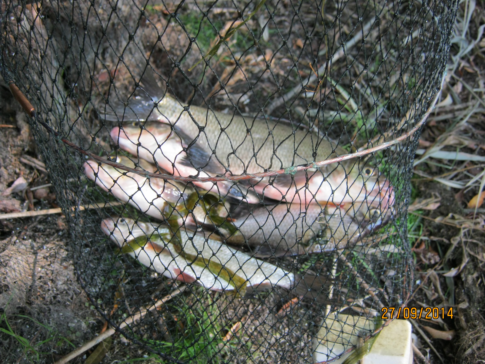 IMG_1792.JPG