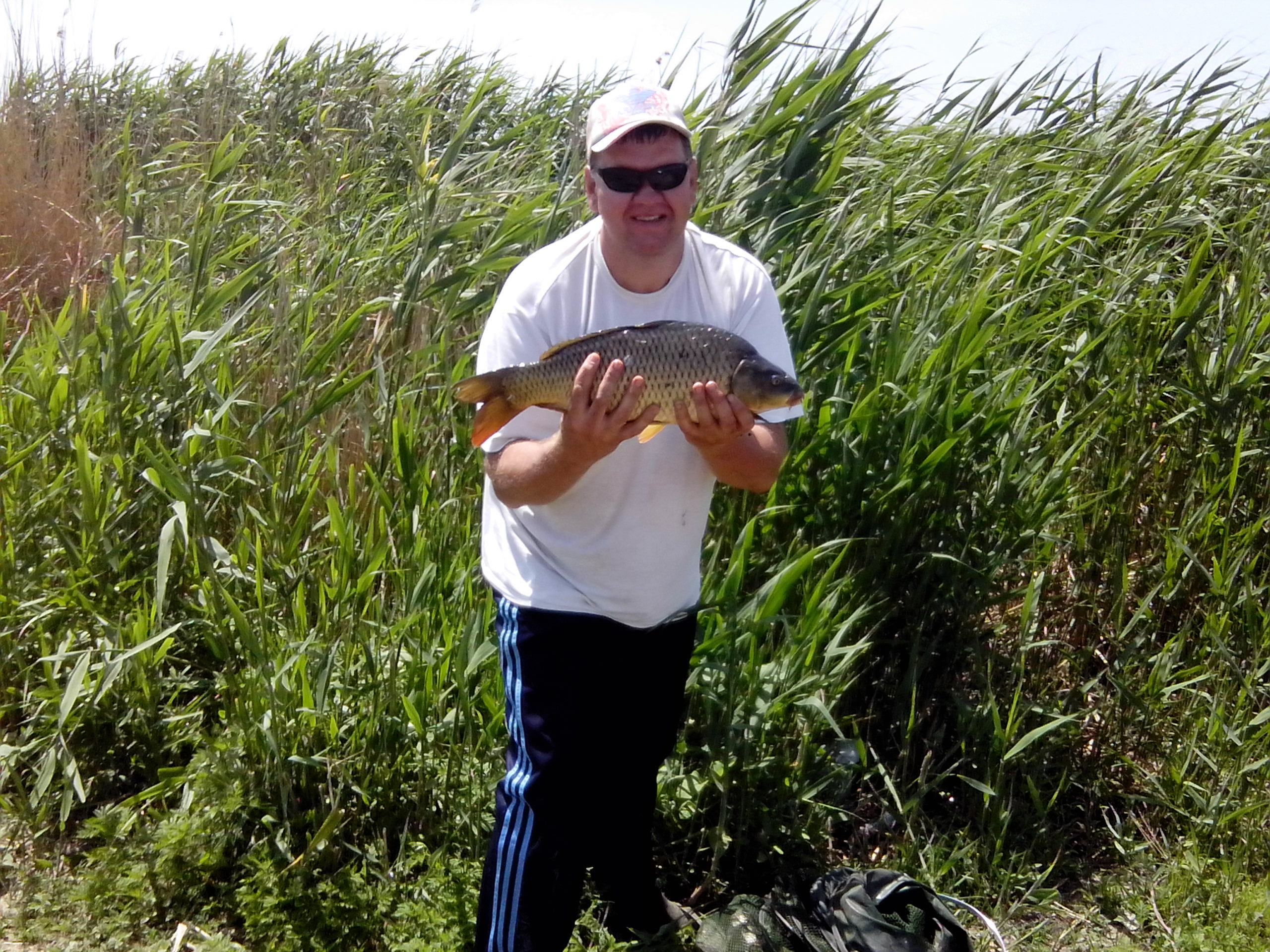IMG_20130523_132155.jpg