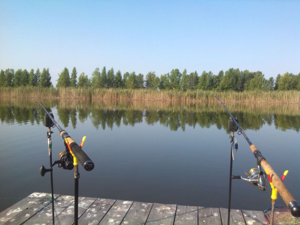 IMG_20130707_080154.jpg