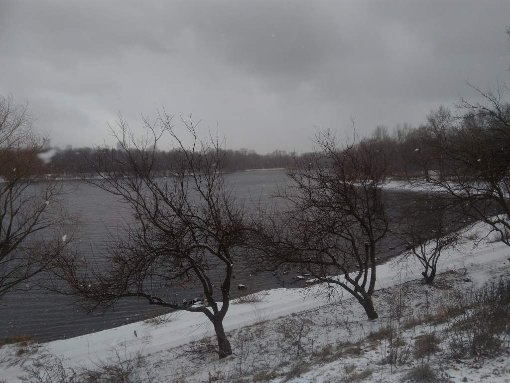 IMG_20200208_125540.jpg