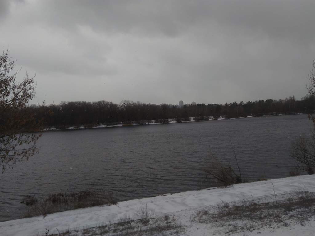IMG_20200208_130313.jpg