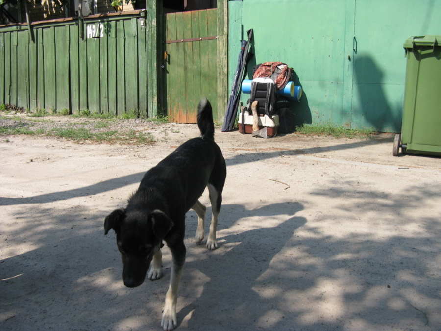IMG_2939.JPG