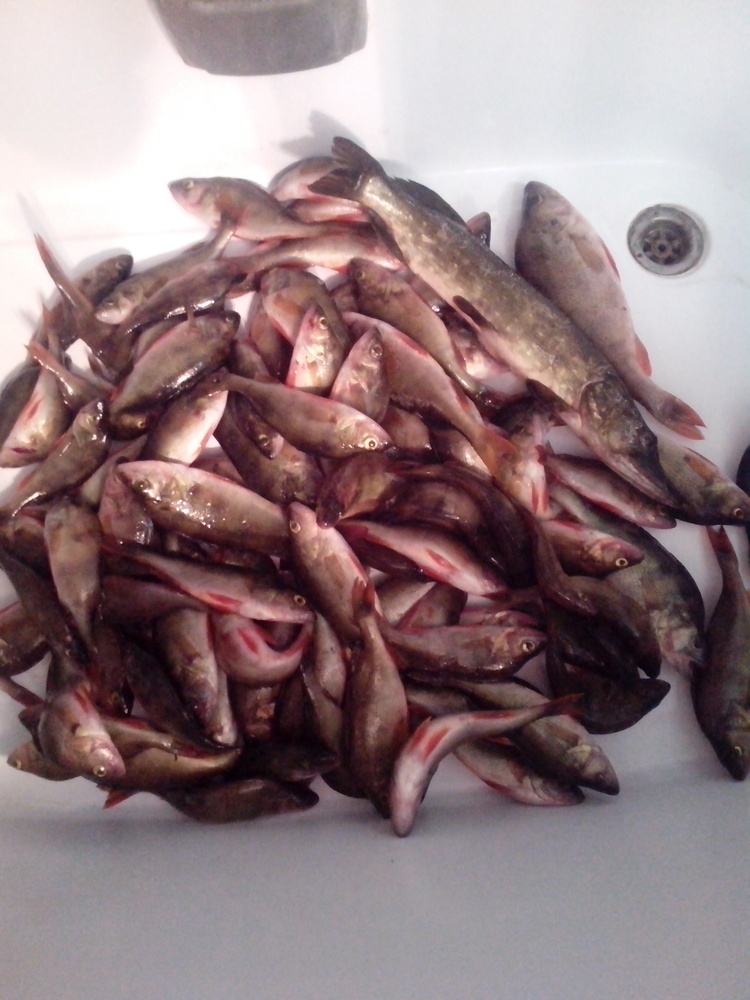 IMG_30062013_115229.jpg