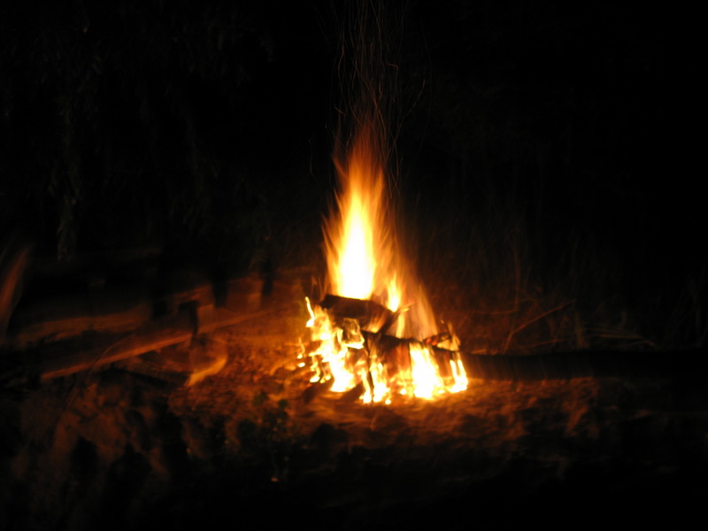 IMG_3114.JPG