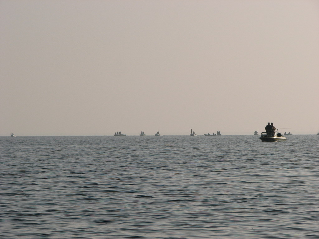 IMG_3445.JPG