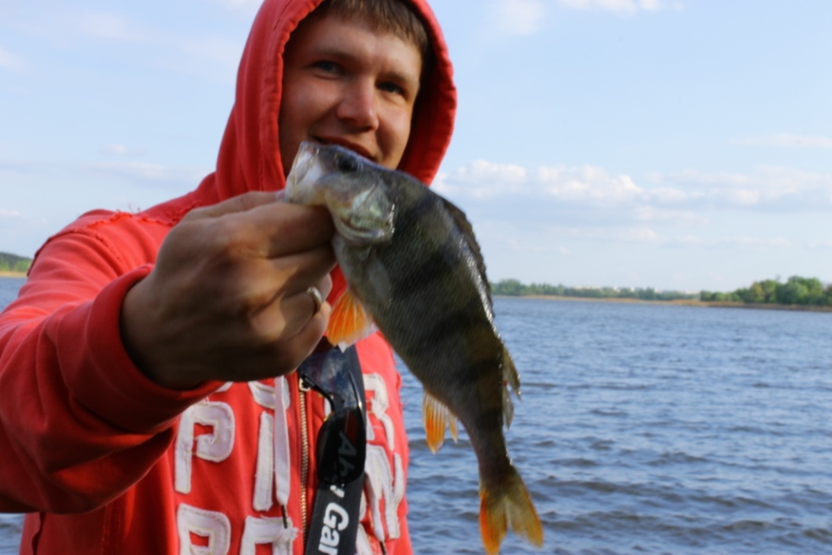 IMG_3779.JPG