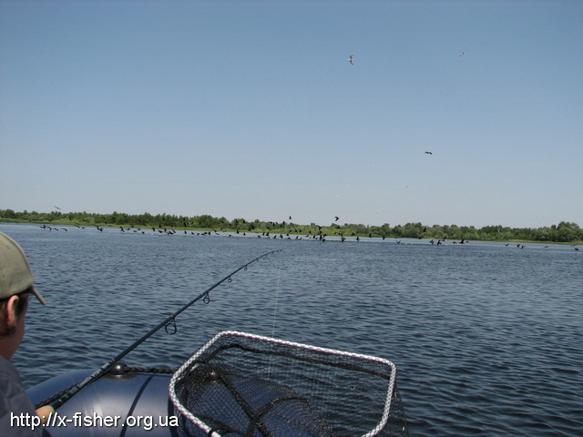 IMG_5826.JPG