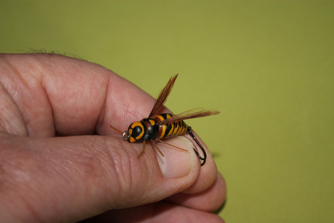 IMG_5878 (Копировать).JPG