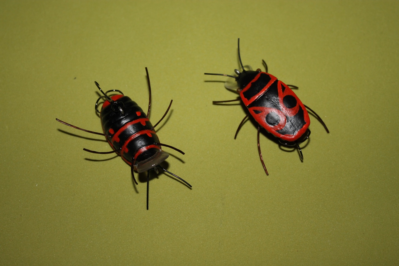 IMG_5917 (Копировать).JPG