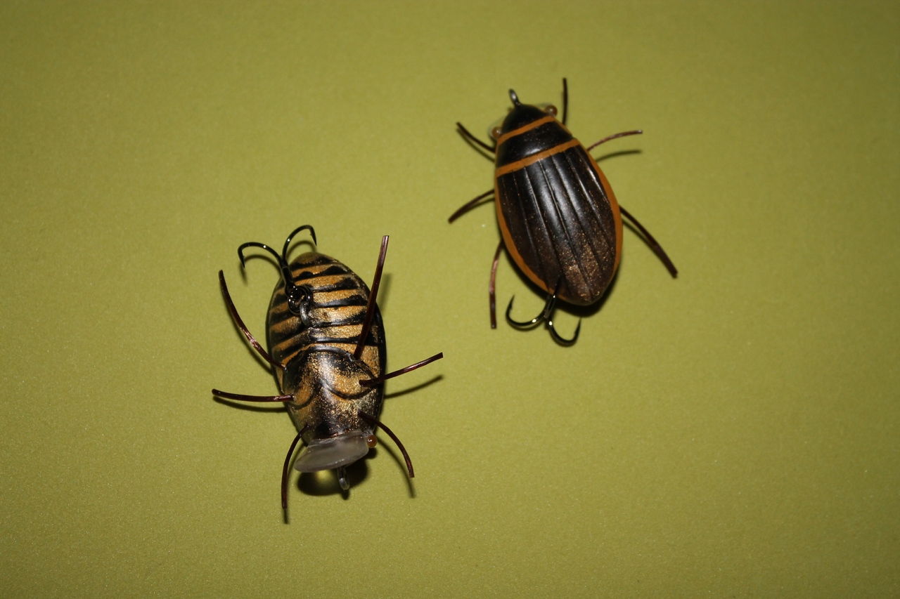 IMG_5921 (Копировать).JPG