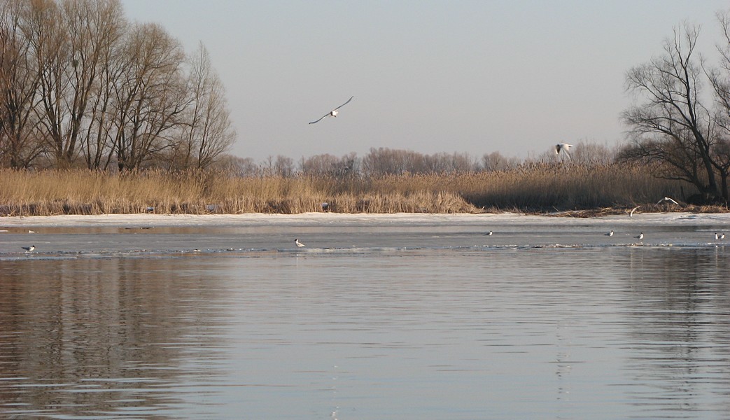 IMG_6333.jpg