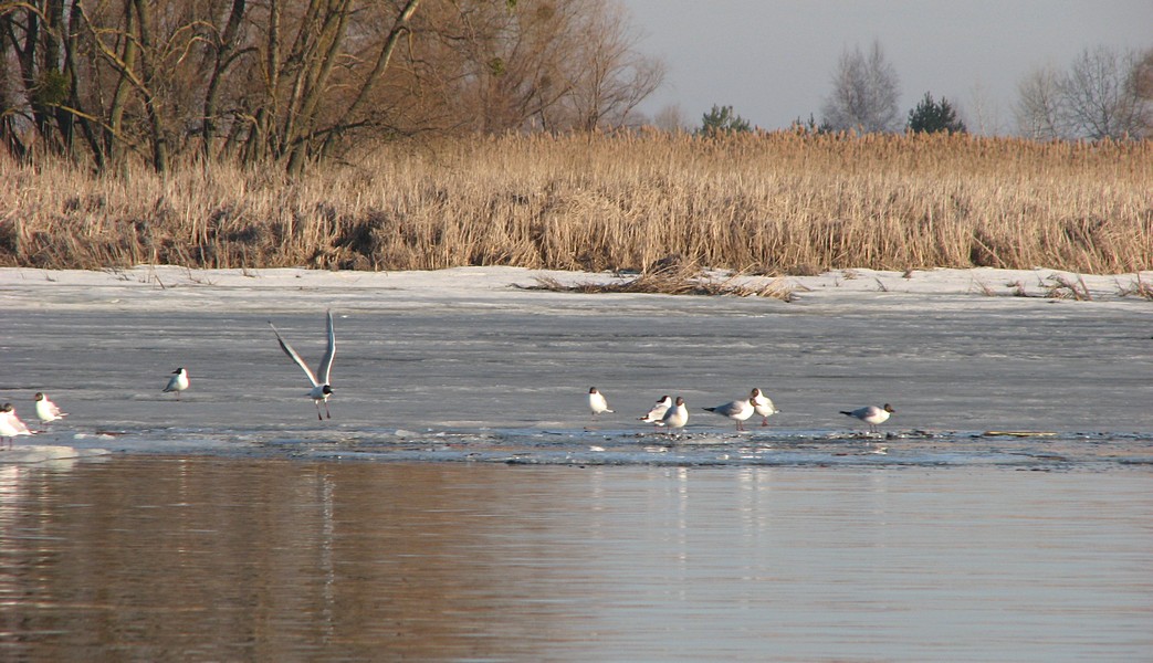 IMG_6334.jpg