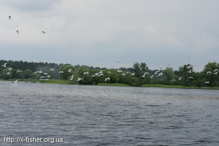 IMG_6531.JPG