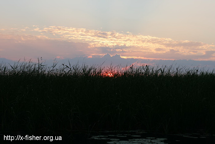IMG_6570.JPG