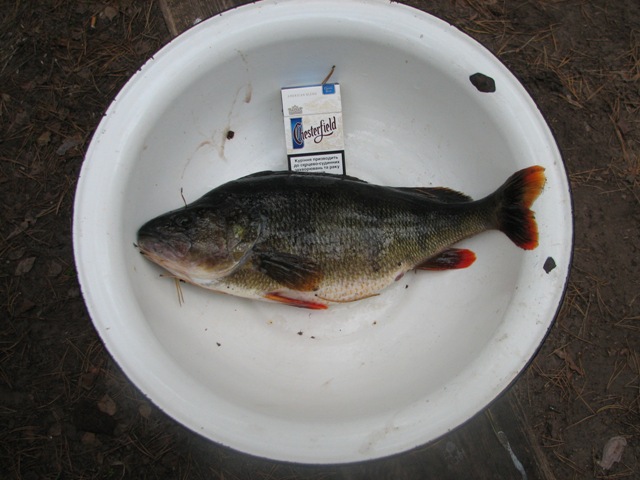 IMG_6619.JPG