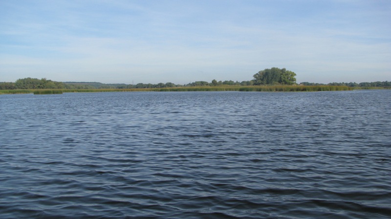 IMG_8583.JPG