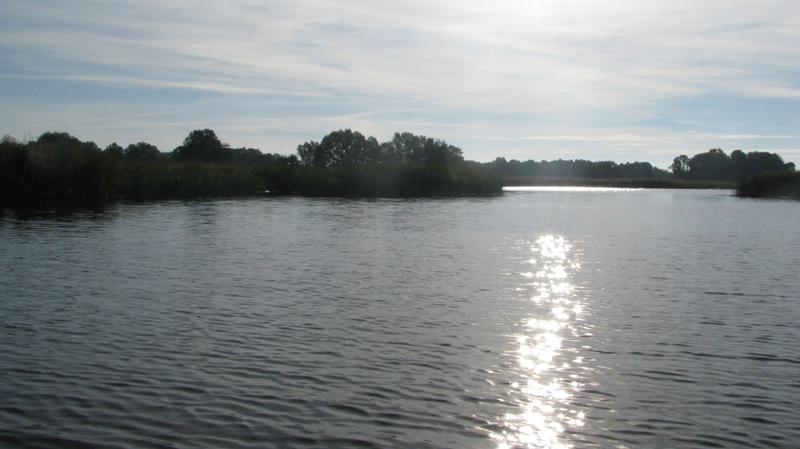 IMG_8587.JPG