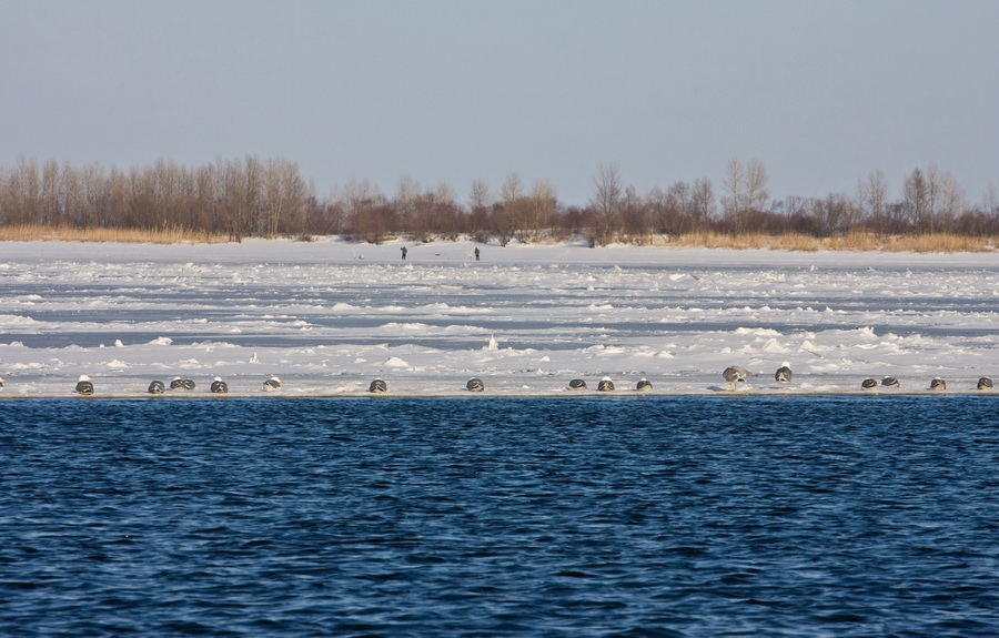 IMG_9059.jpg
