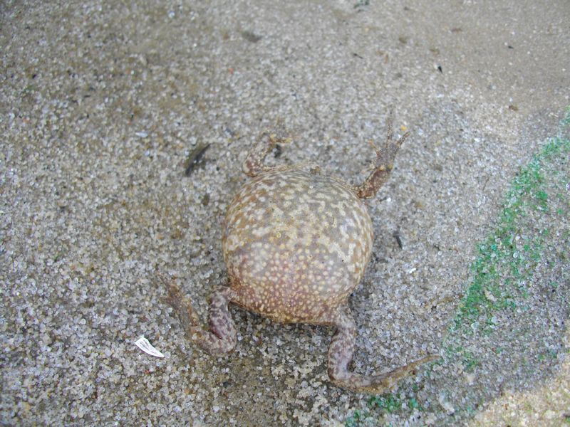 IMGP0641.JPG