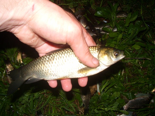 IMGP3457 640x480.JPG