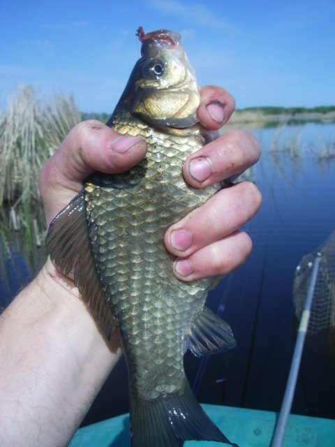 IMGP3477 640x480.JPG