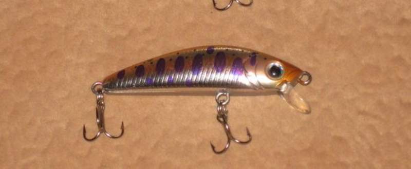 L-Minnow(s).jpg