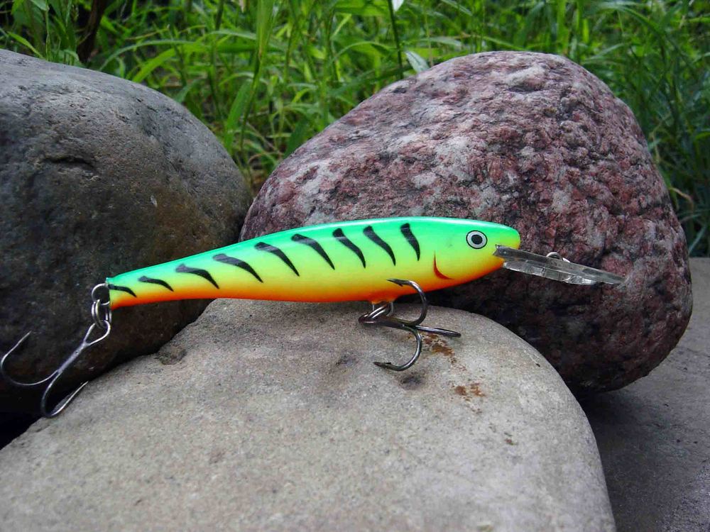 minnow rap.jpg