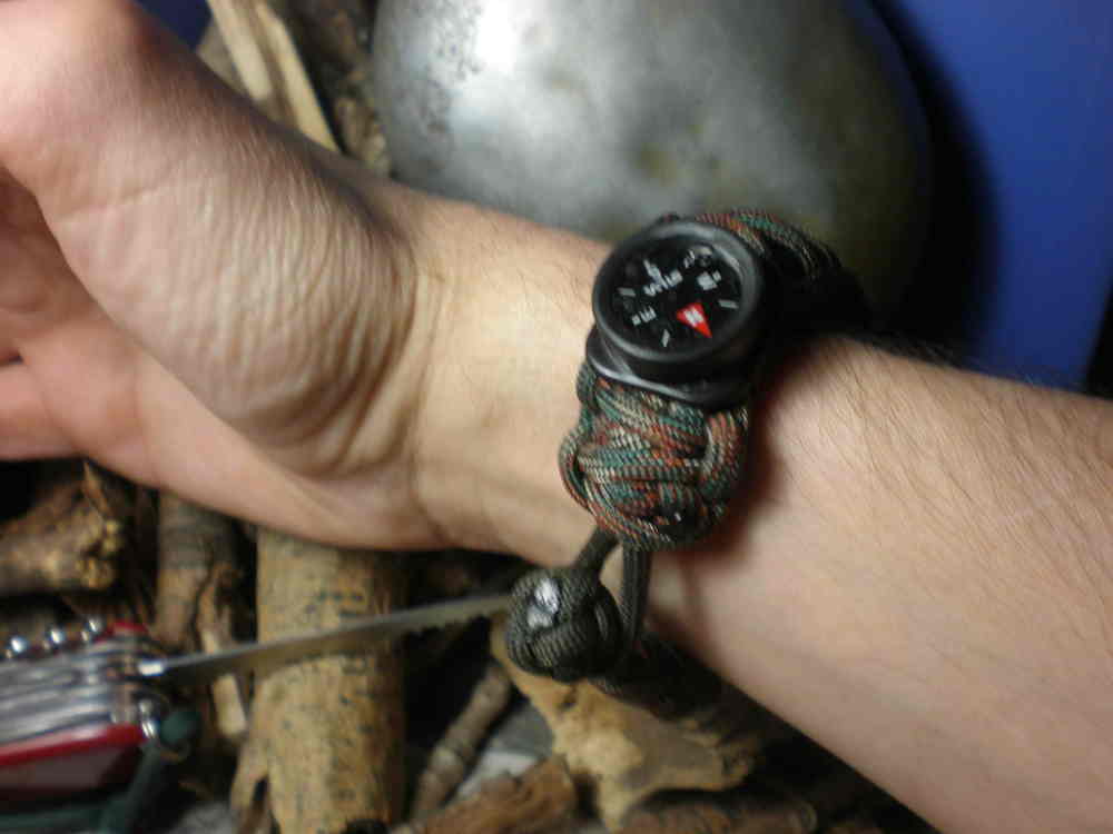 P1010023 1.jpg