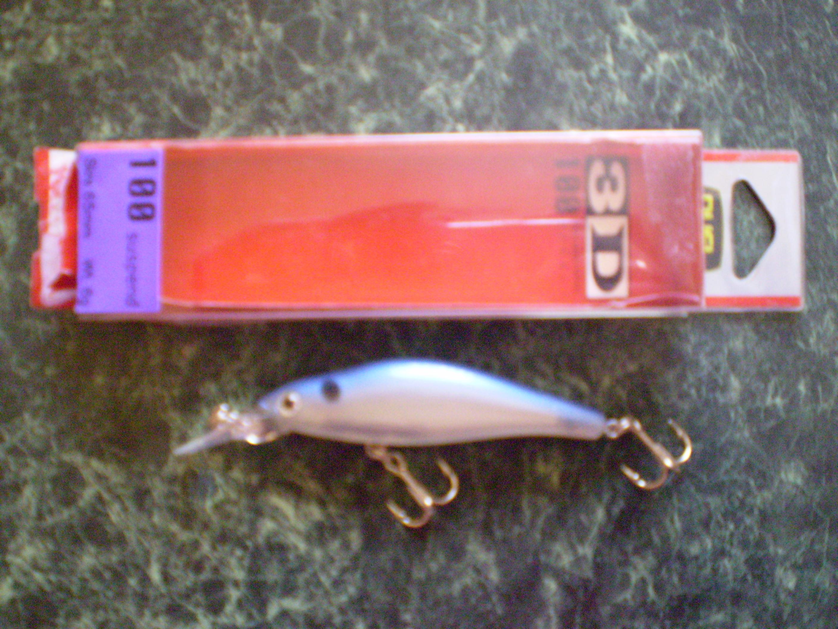 P1010274_1.jpg