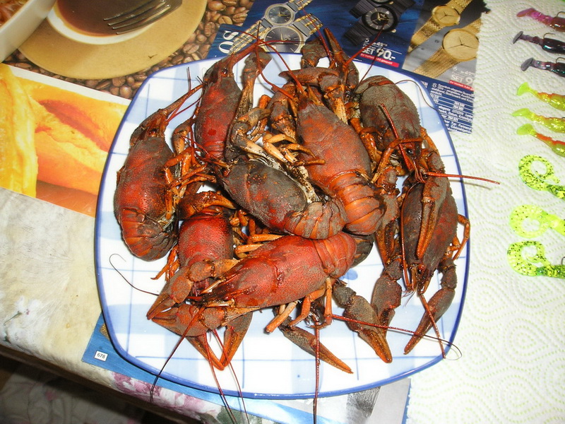 P1010303_�����.������.JPG