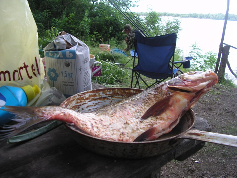 P1010335.JPG