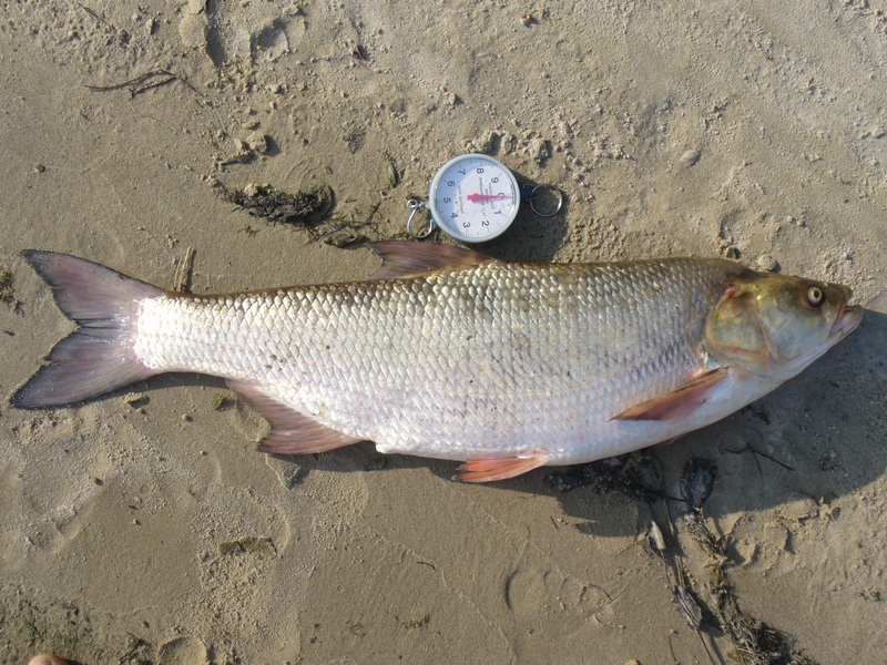 P1120156.JPG